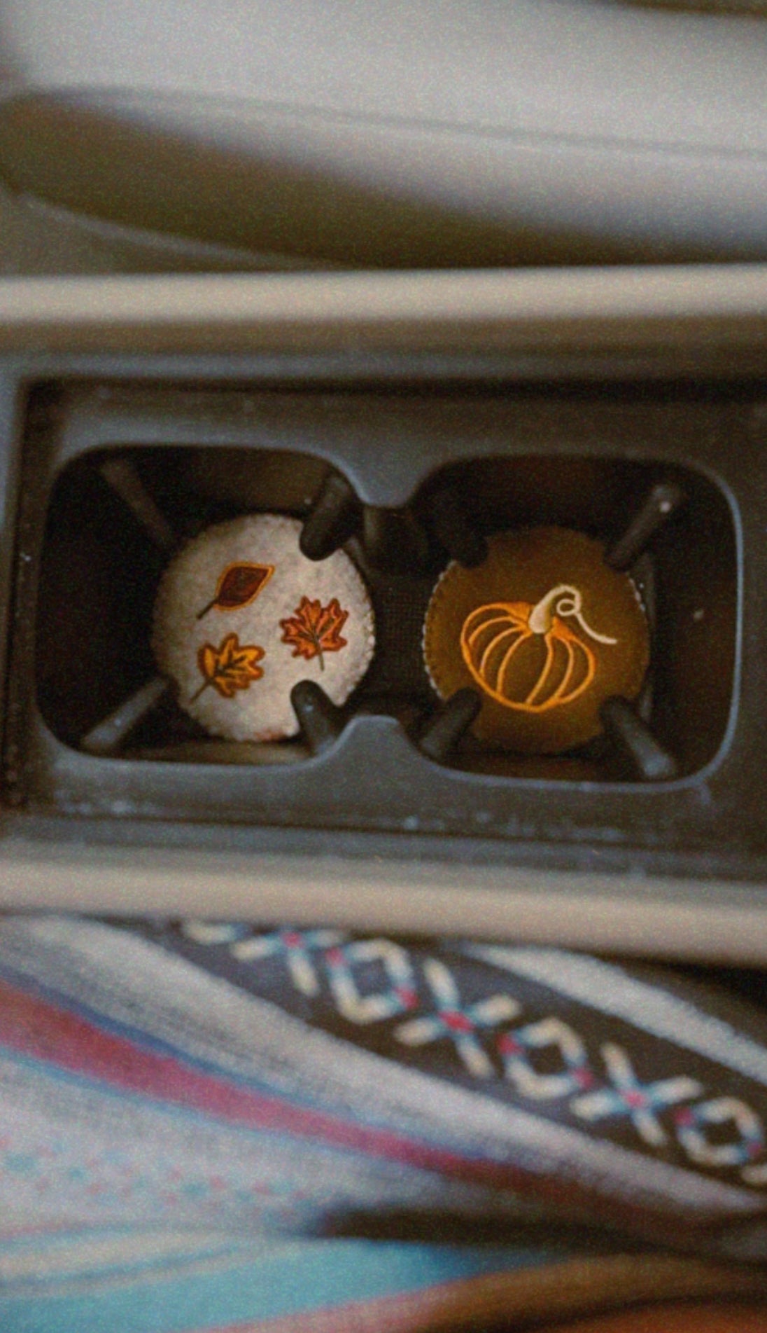 Autumn Reversible Car Coasters
